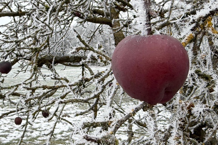 Fotos: Ludwig Schrätzenstaller