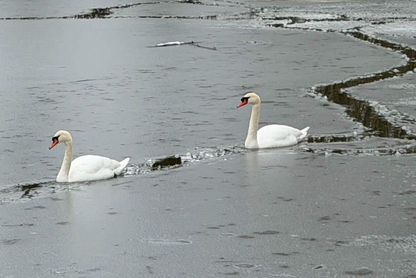 Fotos: Ludwig Schrätzenstaller